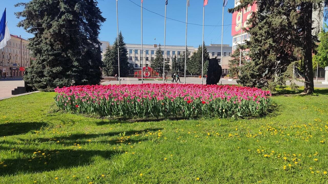 Фото Гостиницы Десна Брянск 22