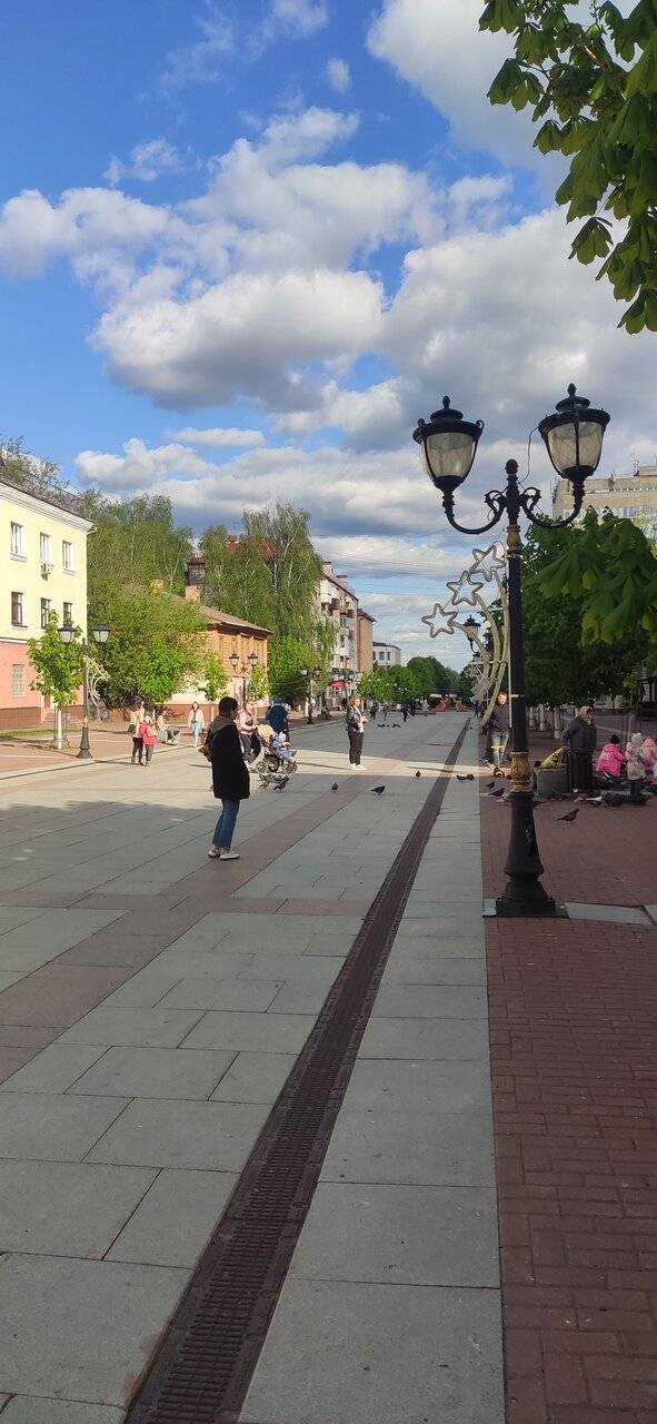 Фото Гостиницы Десна Брянск 51